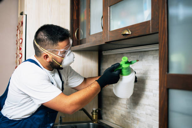 Best Cockroach Control Services  in Pittsburg, KS