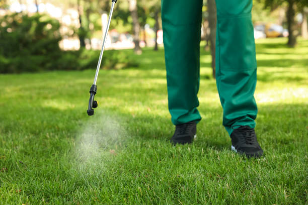 Best Termite Control Services  in Pittsburg, KS