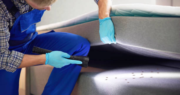 Best Mosquito Control Services  in Pittsburg, KS
