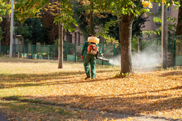 Best Pest Inspection Near Me  in Pittsburg, KS