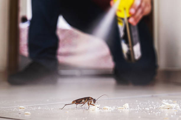 Best Affordable Pest Control Services  in Pittsburg, KS