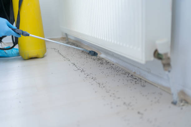 Pest Control Cost in Pittsburg, KS