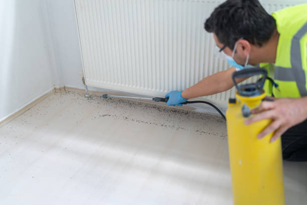Best Cockroach Control Services  in Pittsburg, KS