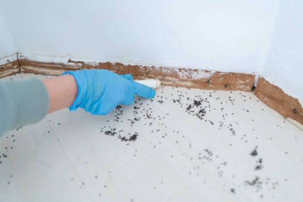 Best Commercial Pest Control Services  in Pittsburg, KS