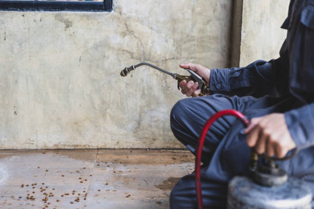 Best Emergency Pest Control  in Pittsburg, KS